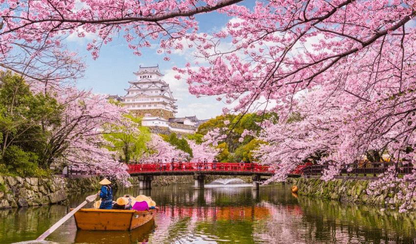 Viaje japon maravilloso  desde Monterrey